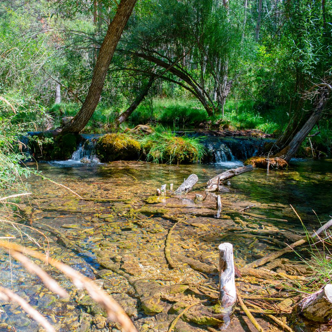 Zonas donde refrescarse durante el verano en Cuenca: río Cuervo