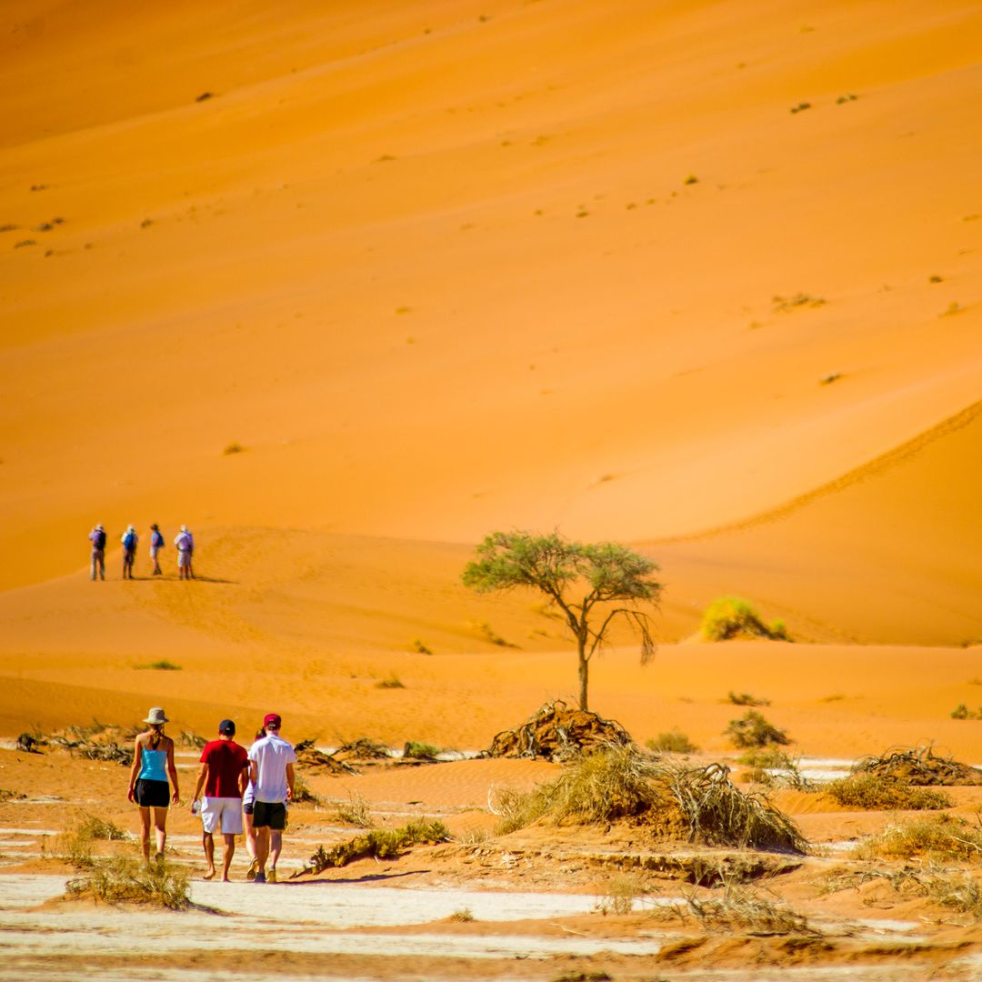 Desierto y dunas de Sossusvlei, Namibia, Africa