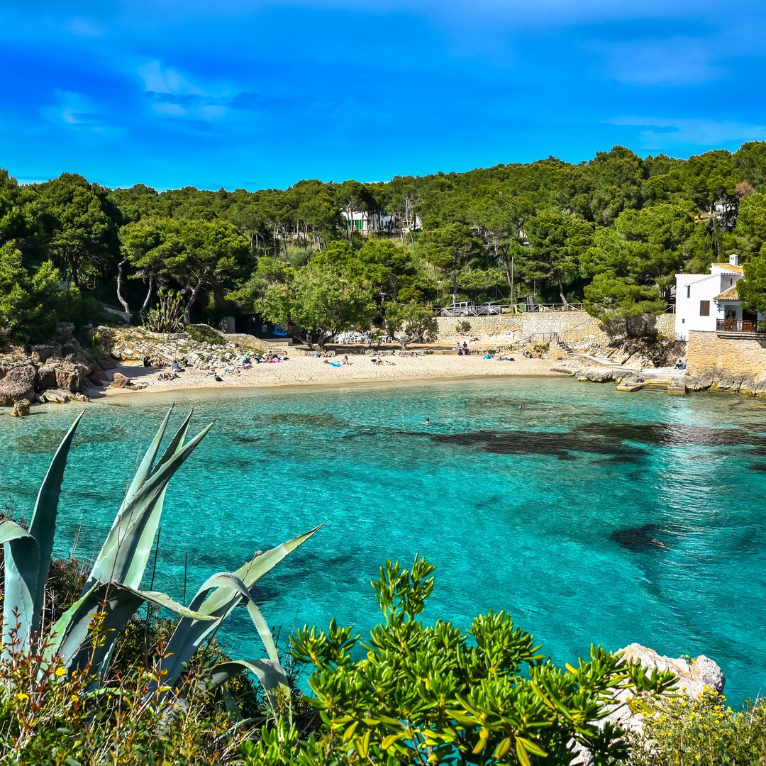 Cala Gat, un espacio natural único en Mallorca