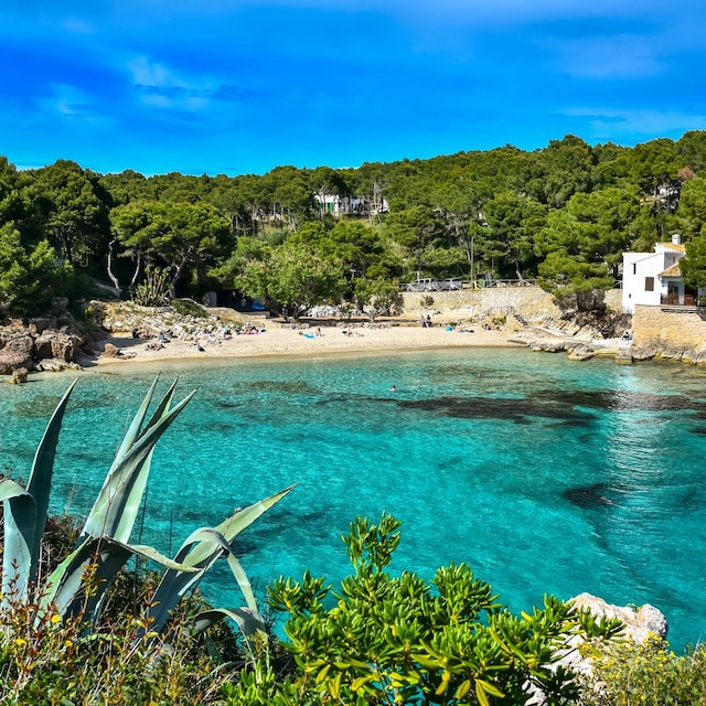 Cala Gat, un espacio natural único en Mallorca