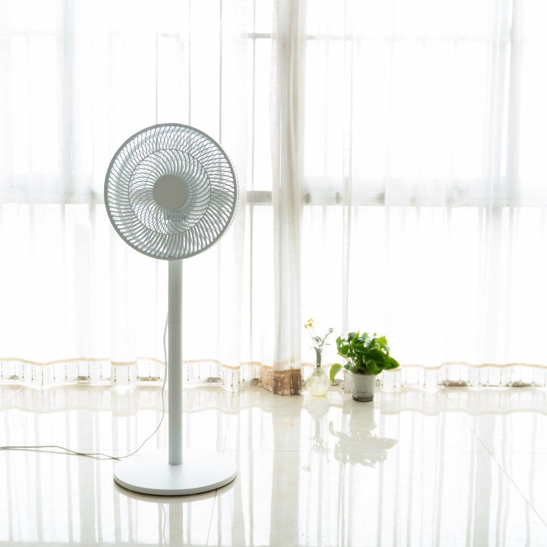Hemos probado: los 5 mejores ventiladores de pie para sobrellevar el calor veraniego