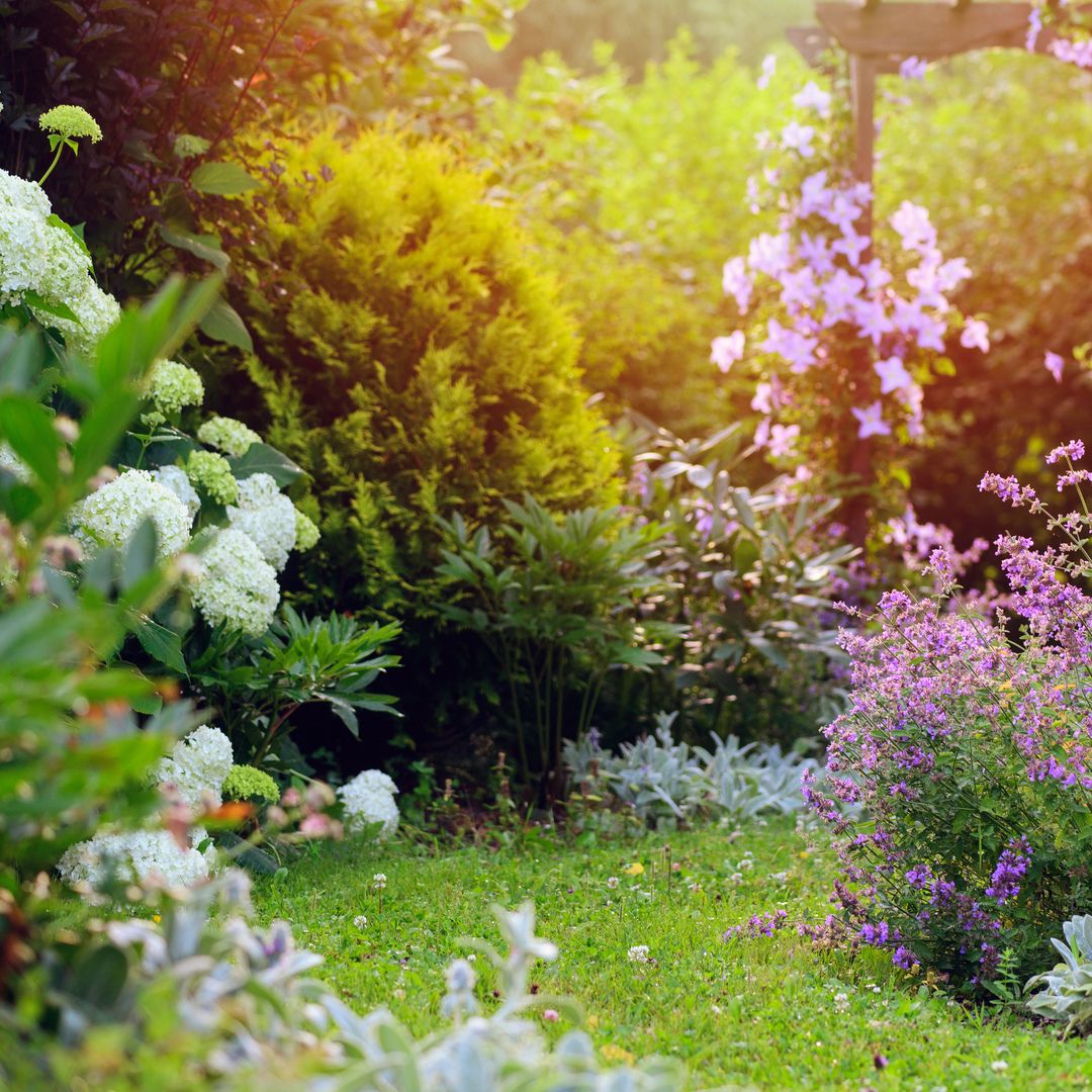 Cómo cuidar tu jardín en agosto: 10 tareas imprescindibles para proteger y mantener saludables tus plantas de exterior