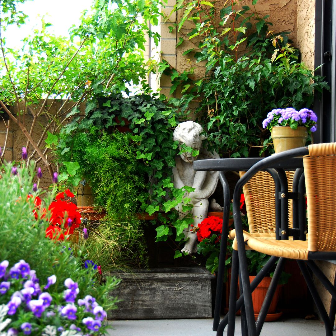 Ni geranios ni hortensias: plantas de rápido crecimiento para renovar tu jardín en semanas y sin esfuerzo
