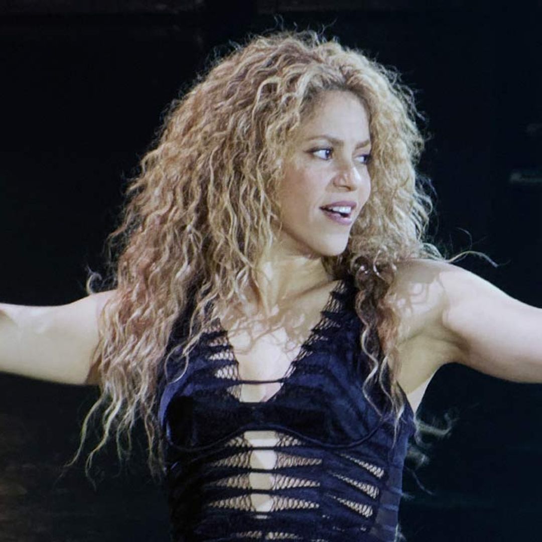 Shakira deja a sus seguidores con la boca abierta a golpe de artes marciales