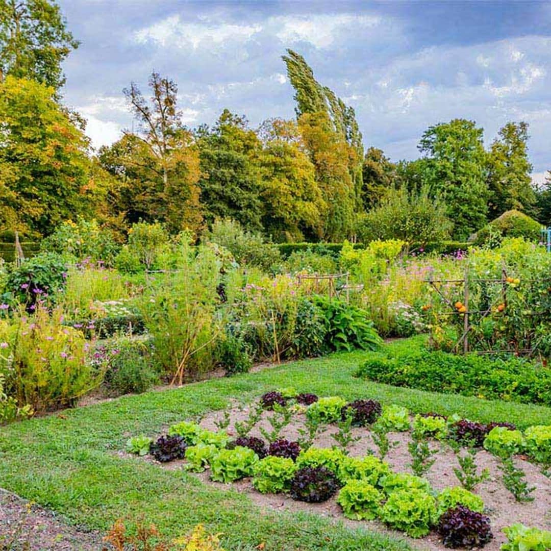 ¿Sabes por qué es interesante sembrar plantas con flor en el huerto?