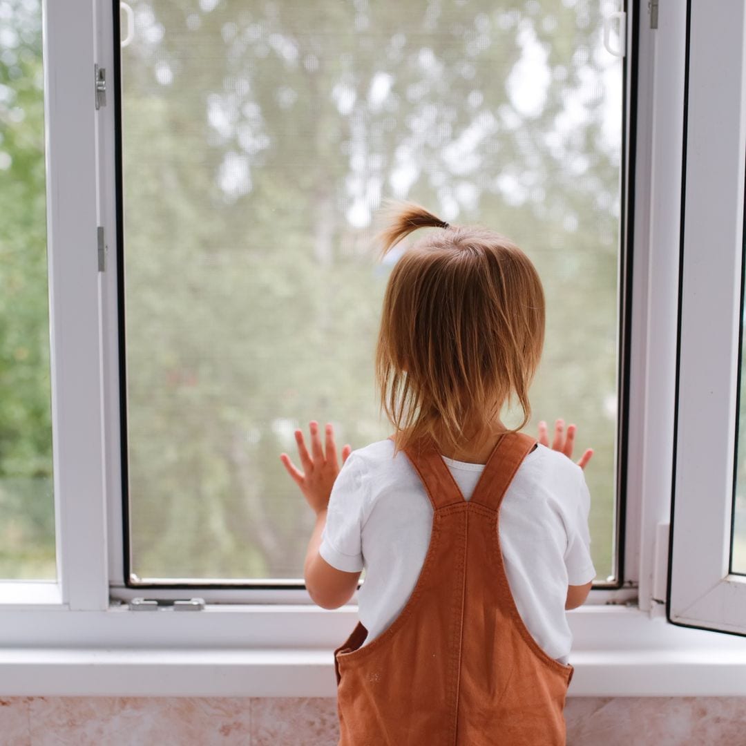 Estas son las mejores mosquiteras para ventana sin instalación que mantendrán alejados a todos los insectos