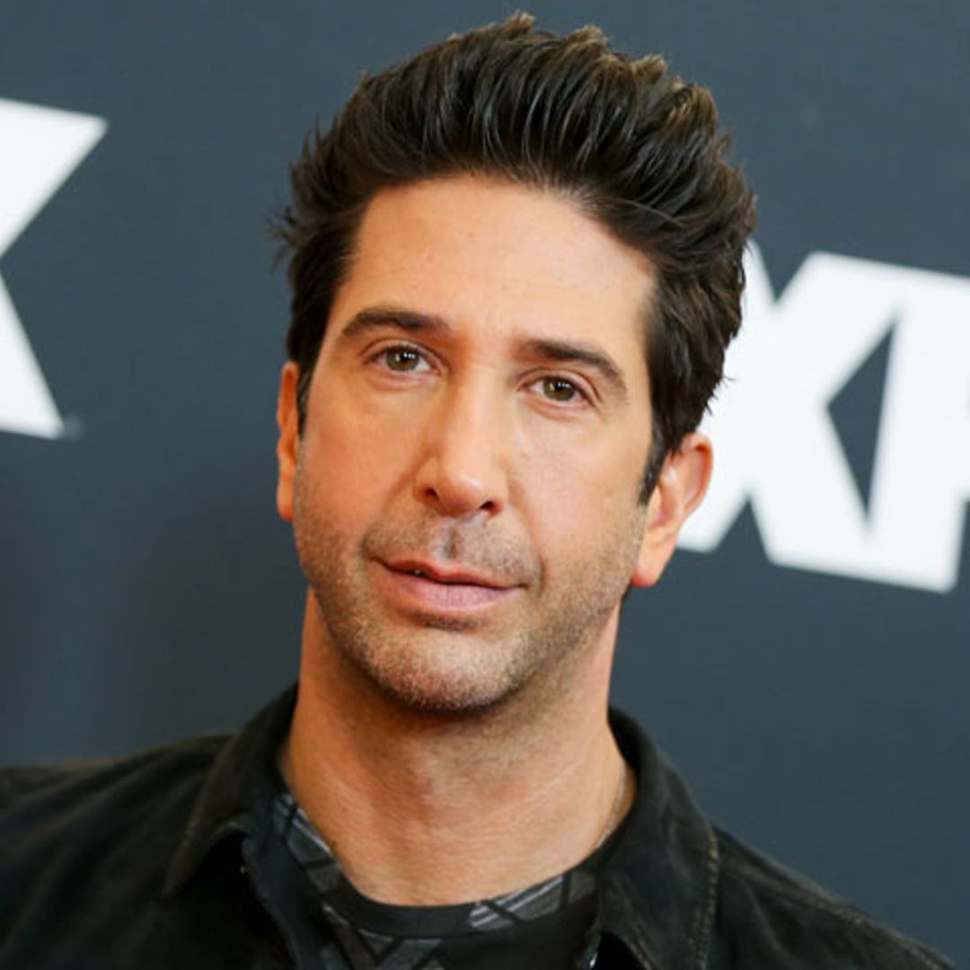 El divertido 'encontronazo' con la policía de David Schwimmer, Ross en 'Friends'