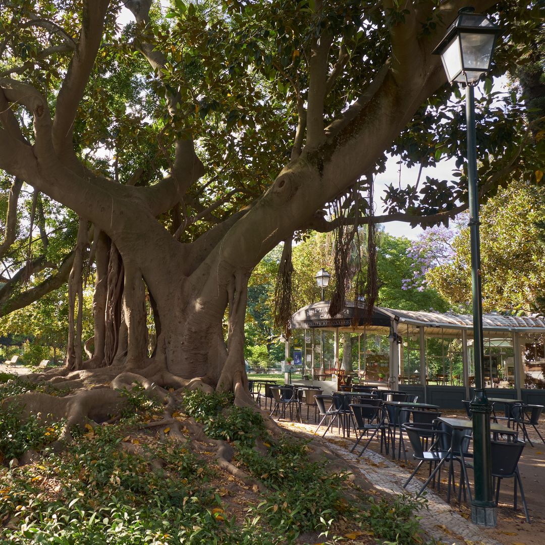  Jardín do Príncipe Real, Lisboa