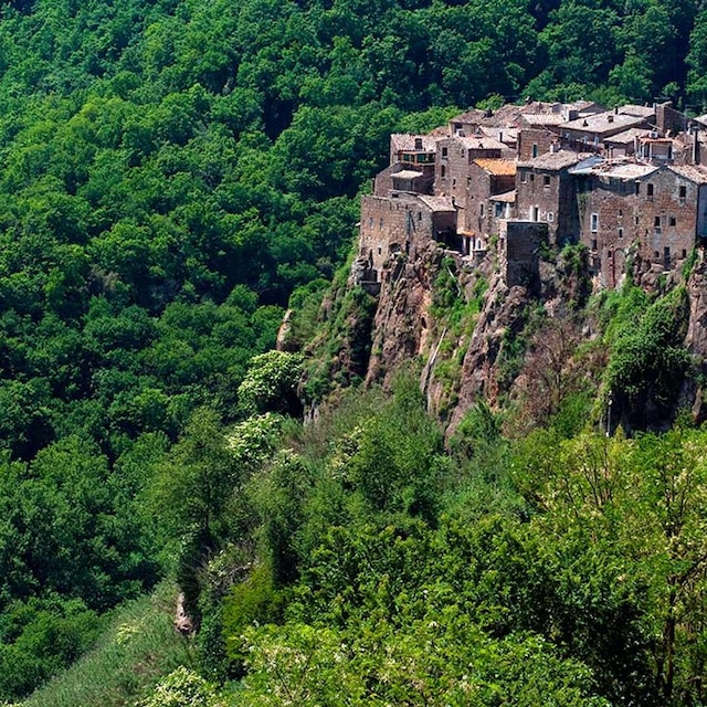 calcata r3x9n3