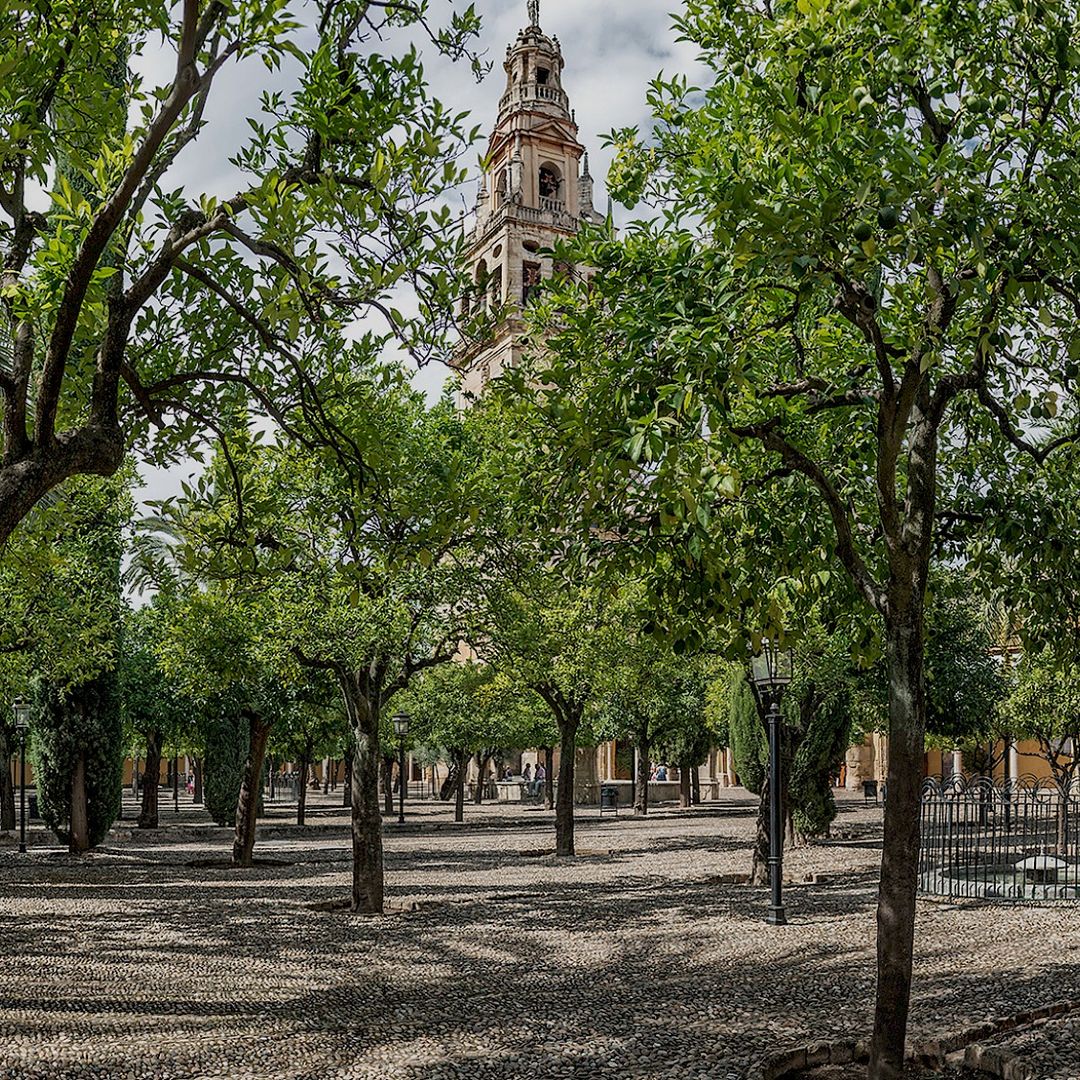 Patio de los Naranjos de la Mezquita-Catedral de Córdoba