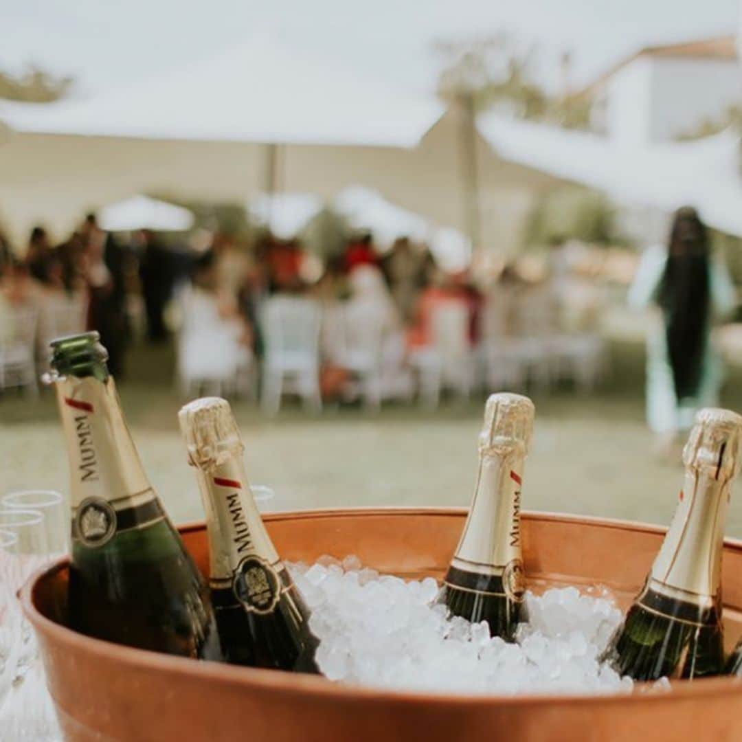 ¿Cómo gestionar las bebidas de tu boda? Los caterings nos dan las claves para acertar