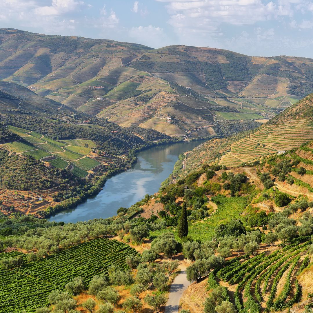 Viñedos del Alto Douro, Portugal