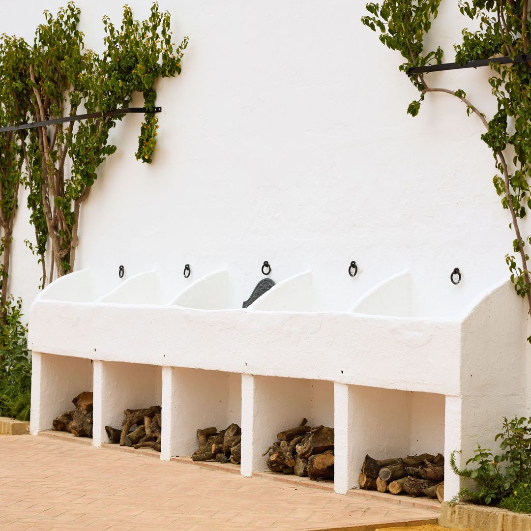 Más detalles del exterior de la casa del sur