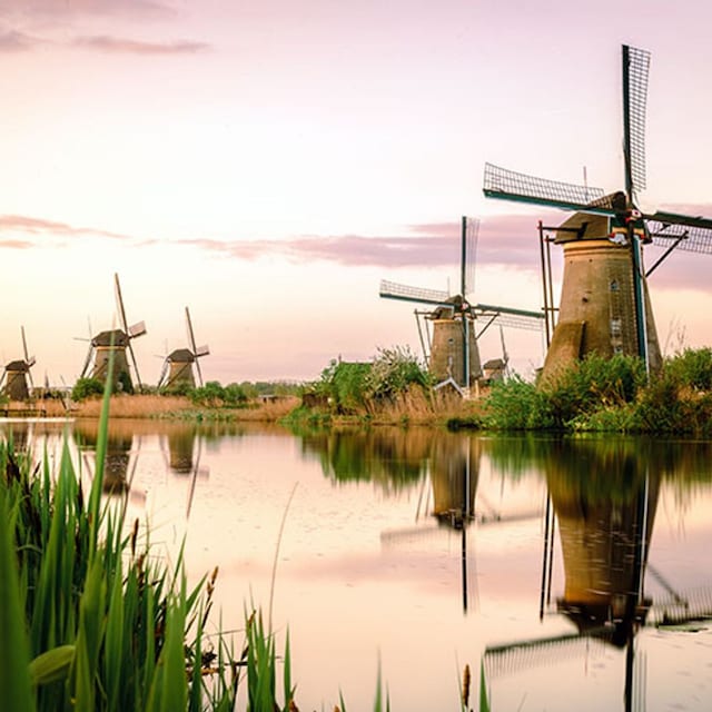 imprescindibles holanda top