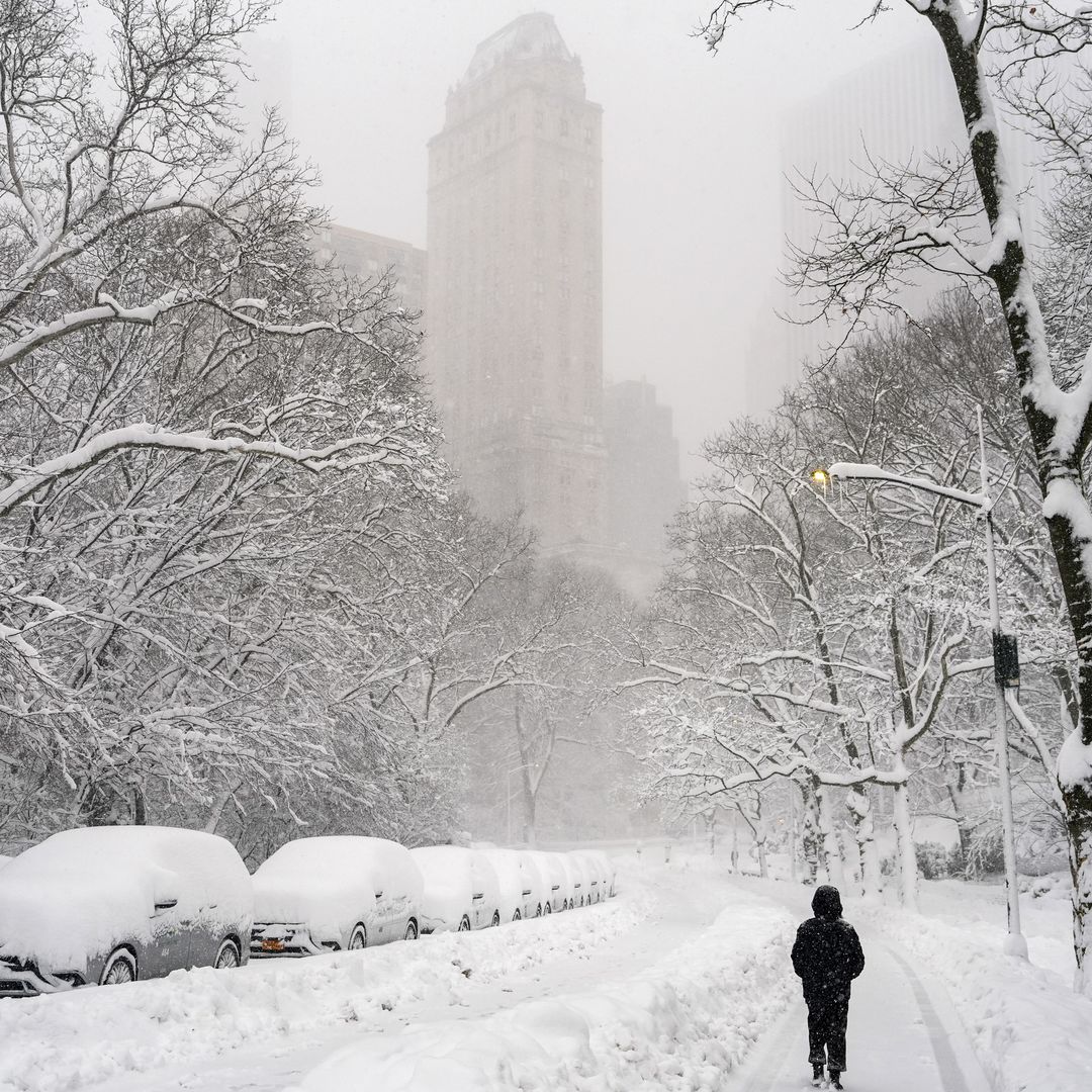 La nevada del siglo paraliza Nueva York: paisajes de película y 40 millones de personas confinadas