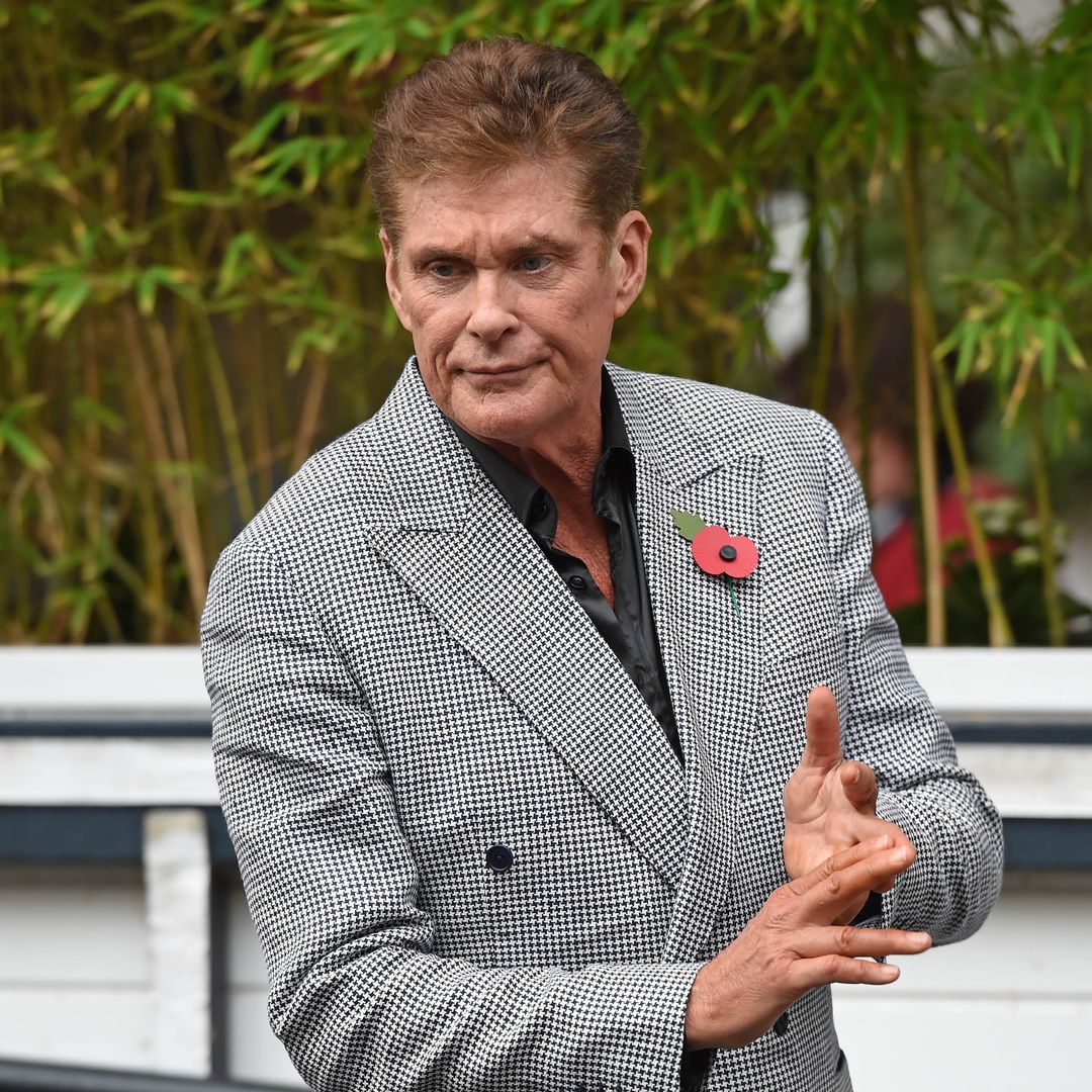 David Hasselhoff preocupa tras ser visto en silla de ruedas semanas después de la muerte de su exesposa   




 