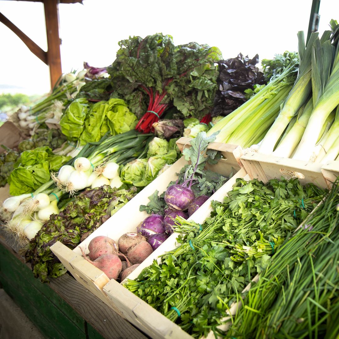 La huerta de abril , made in Madrid