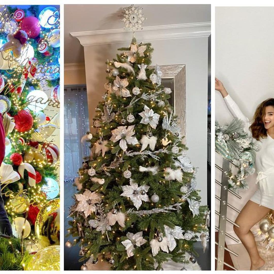 Thalía, Chyno, Clarissa Molina... Así son los árboles de Navidad de los famosos