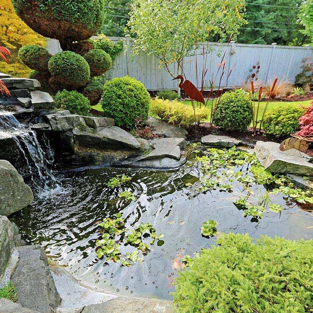 ¿Sabes cuáles son las tareas de mantenimiento de un estanque en el jardín?