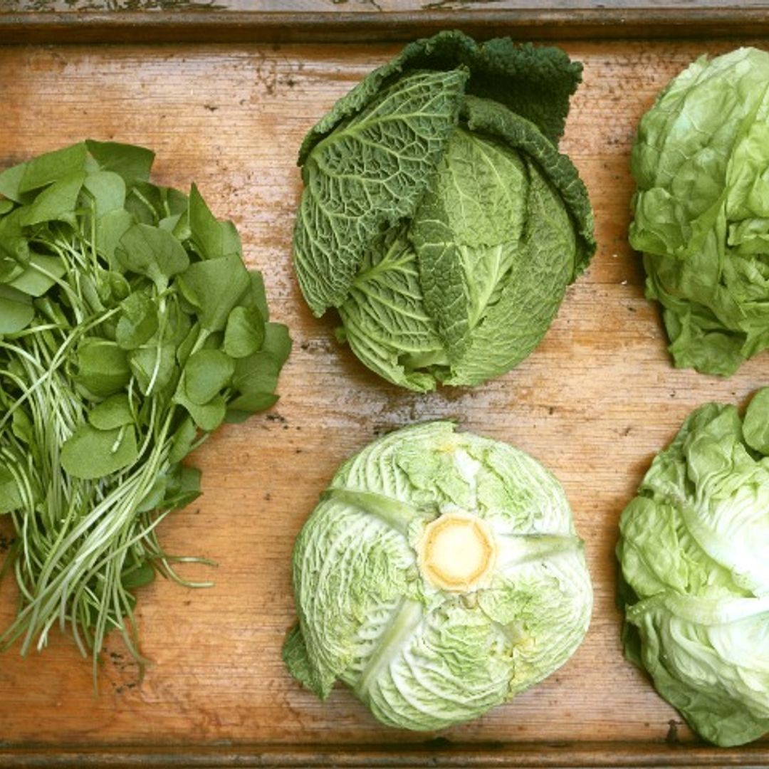 Con estos consejos, conservarás tus frutas y verduras en perfecto estado