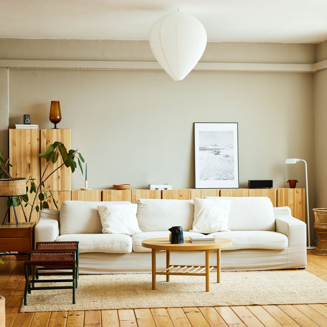 Consejos de Feng Shui: cómo mejorar la energía de tu hogar con plantas