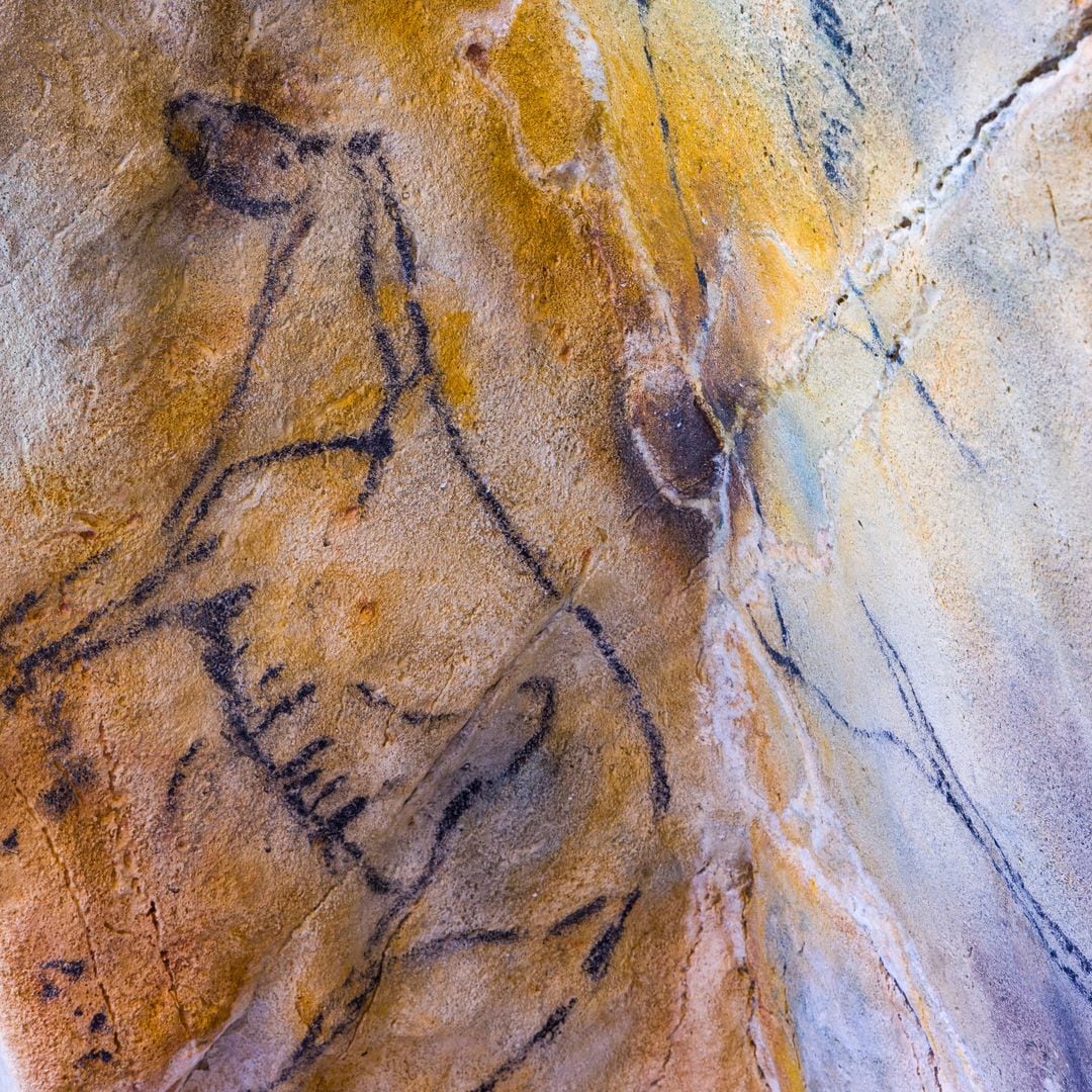 Pintura prehistórica de caballo,Cueva de Las Monedas, Puente Viesgo, Cantabria