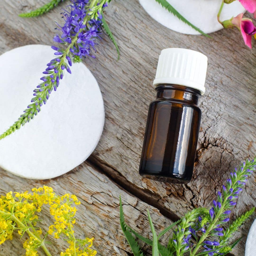 Apunta estos remedios caseros y aceites esenciales contra los mosquitos