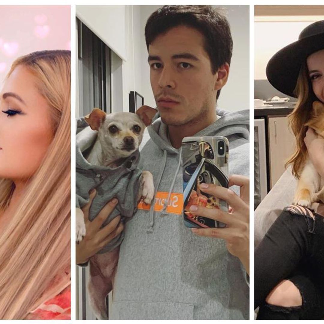 Las mascotas de los famosos que tienen ¡miles de seguidores!