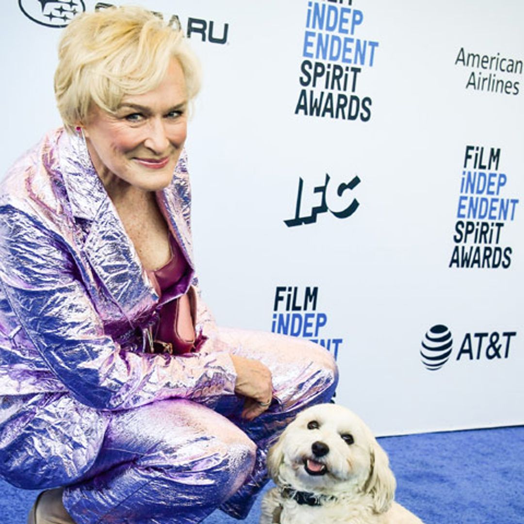 Glenn Close no fue la protagonista de los Spirit Awards... ¡fue su perro!