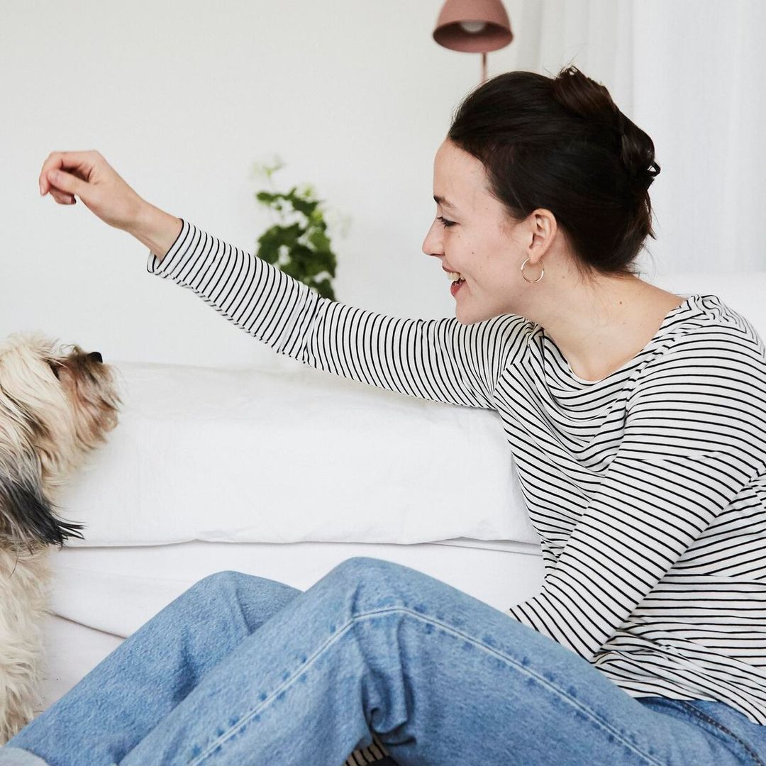Los beneficios de tener una mascota en tu vida