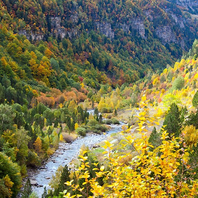 Espacios naturales aragon ordesa