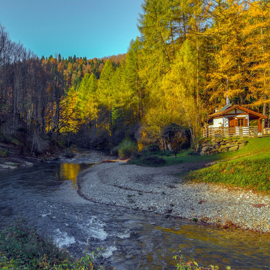 Selva de Irati, Navarra