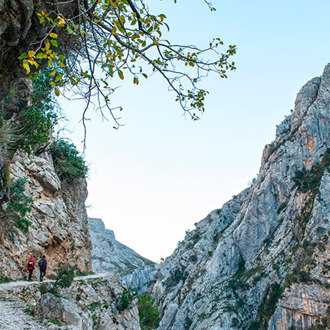 Tres valles de León rebosantes de naturaleza donde cargar las pilas este otoño