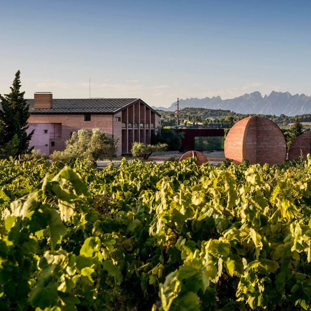 Visita a las mejores bodegas de cava de Cataluña esta Navidad: Juve&Camps