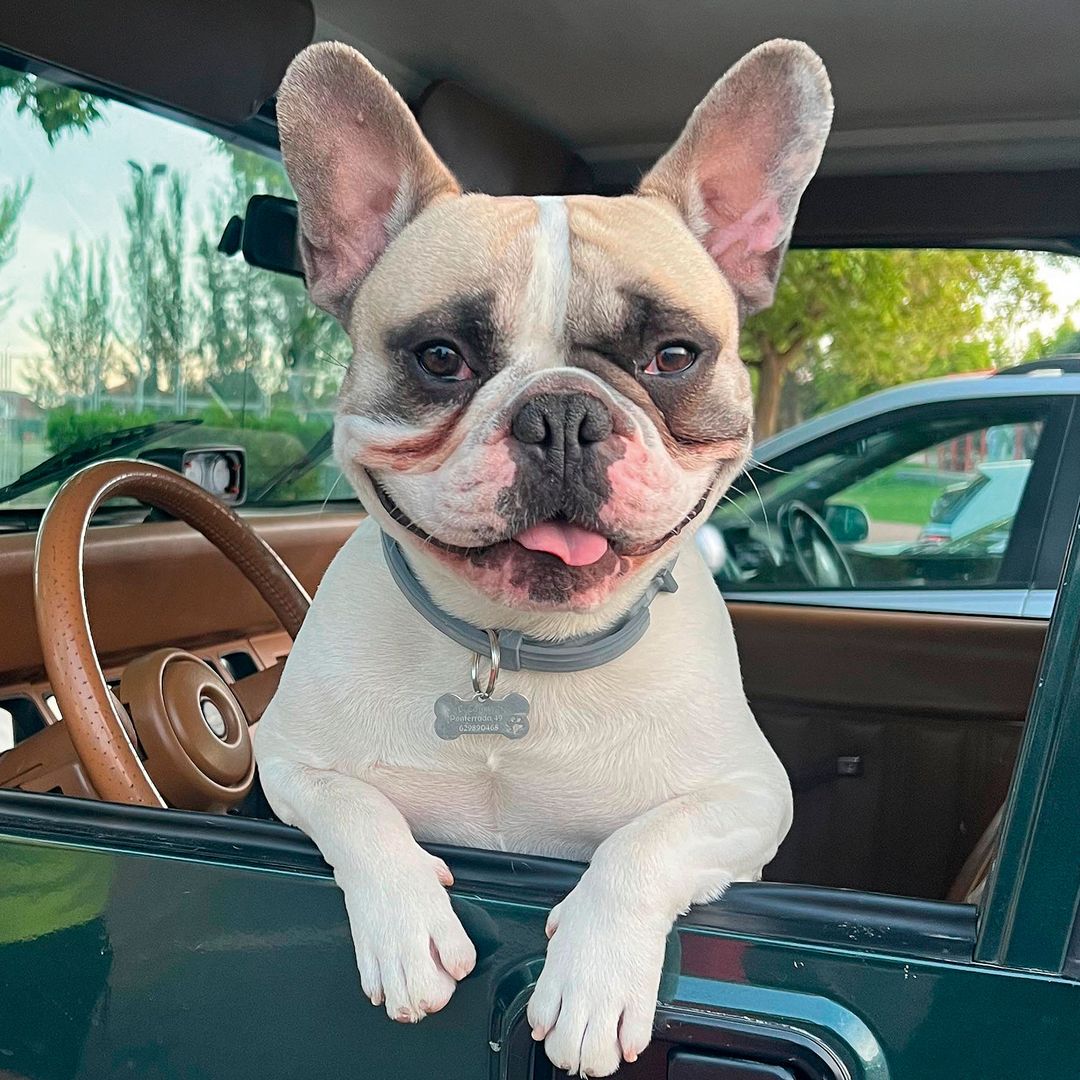 La mascota de Poty Castillo
