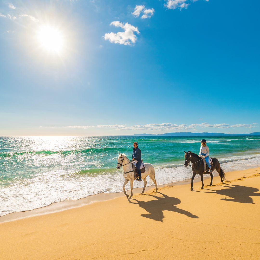 Paseo a caballo con Cavalos na Areia, recorriendo los arrozales de Comporta, península de Tróia, Alentejo (Portugal).