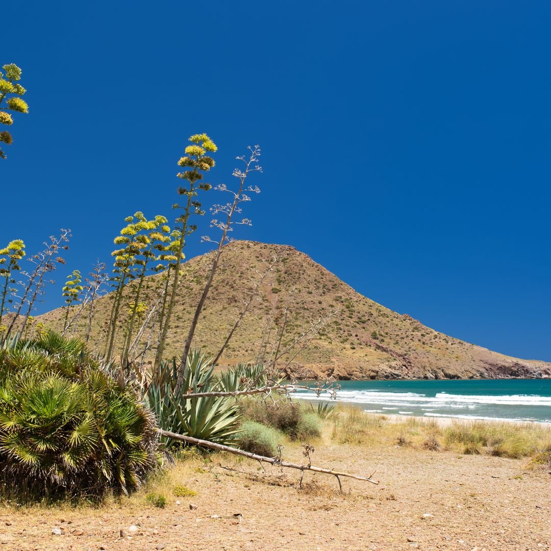 10 playas de España perfectas para septiembre: animadas, cálidas y con muchos planes