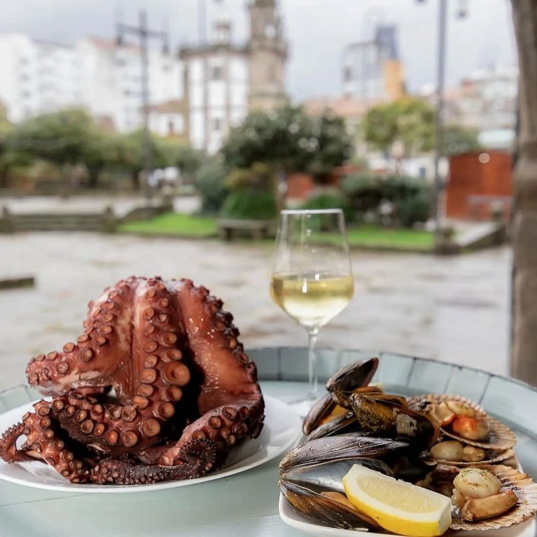 pulpo, Pontevedra
