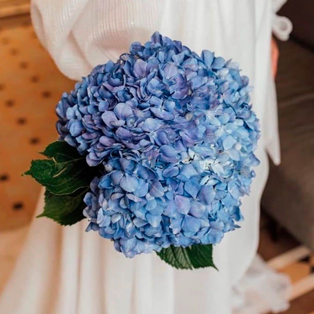 Ramos de novia (solo) de hortensias, la nueva tendencia viral