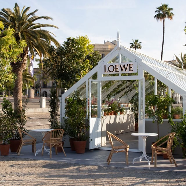 loewe perfumes