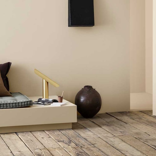 colores luminosos 5t