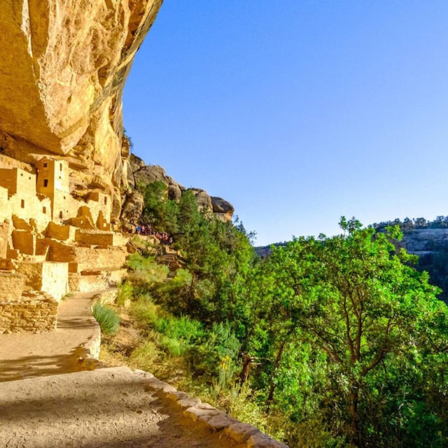 parquenacional mesa verde