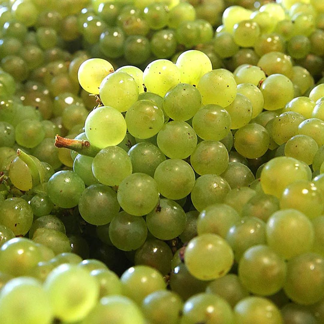 ¿Qué hacen otros países en Nochevieja mientras España ‘se toma’ las uvas?