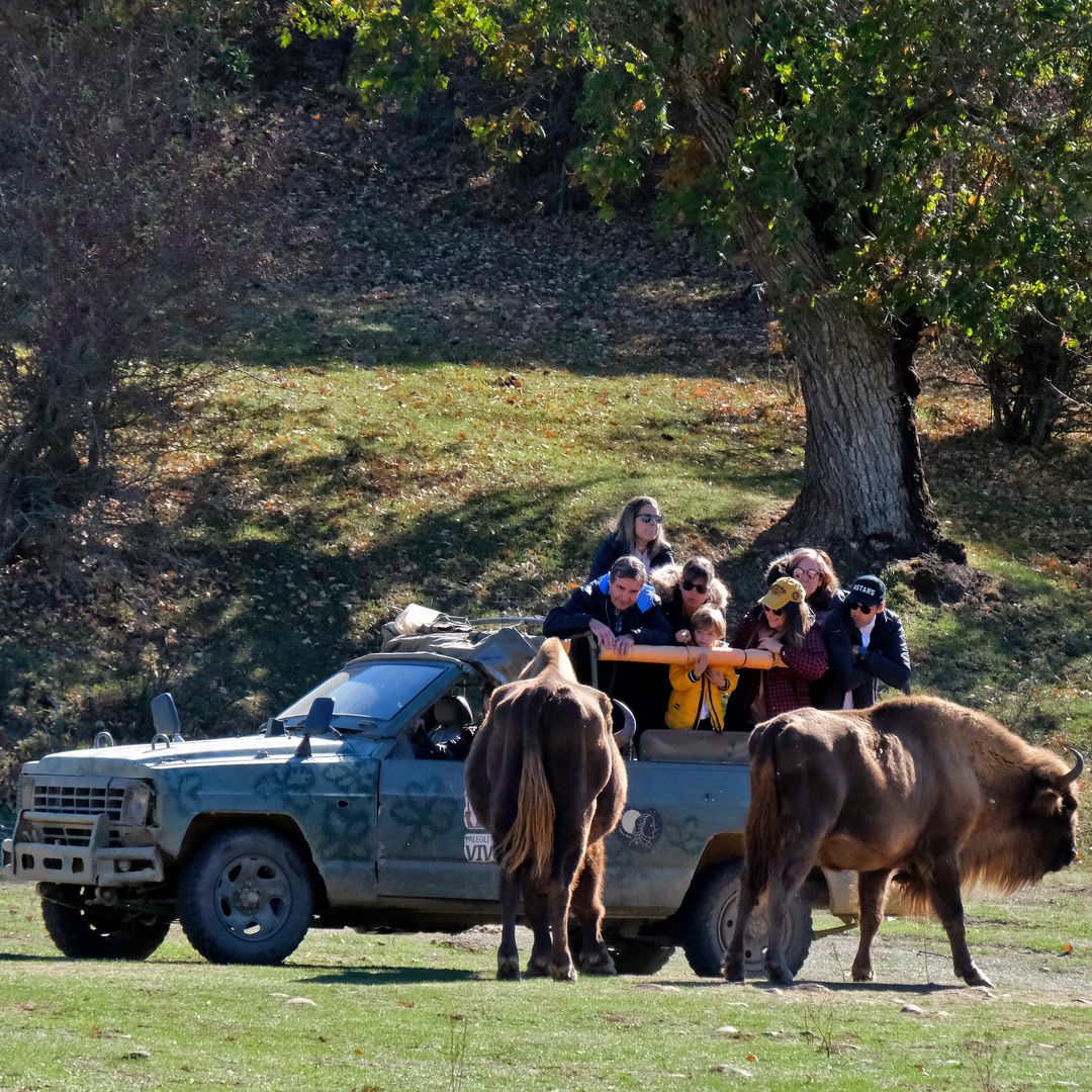 El ‘parque jurásico’ de Burgos donde los animales prehistóricos aún existen y es el plan perfecto para el otoño