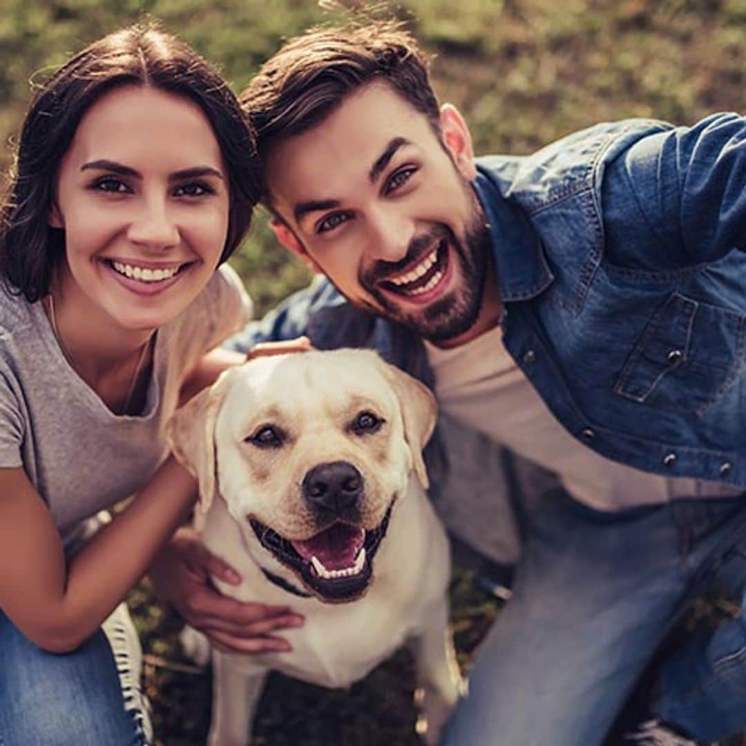Si te divorcias, ¿quien se queda el perro o el gato?