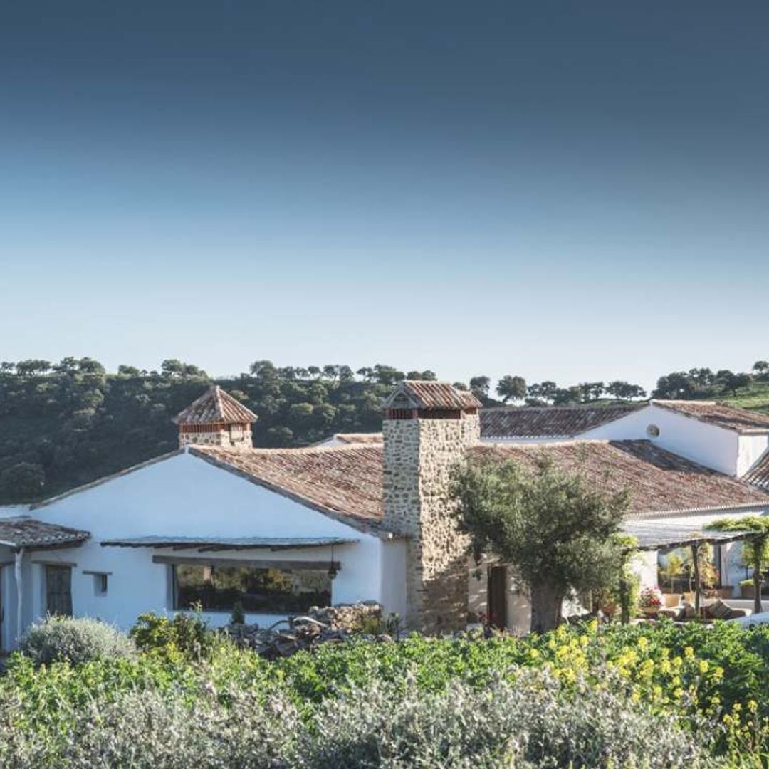 El eco-retiro de lujo que siempre buscaste está en el sur