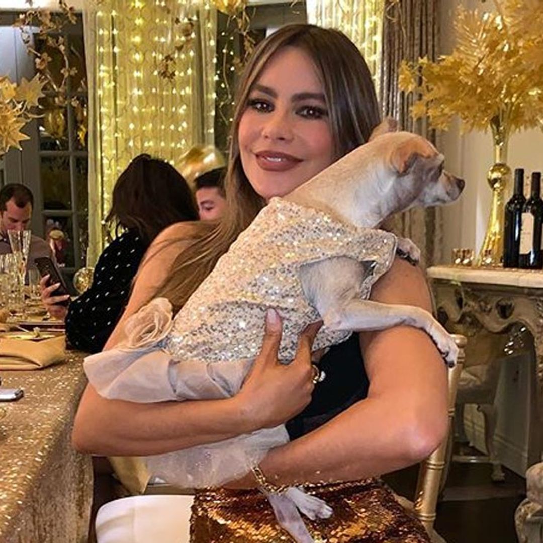 ag sofia vergara2