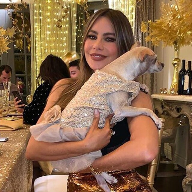 ag sofia vergara2