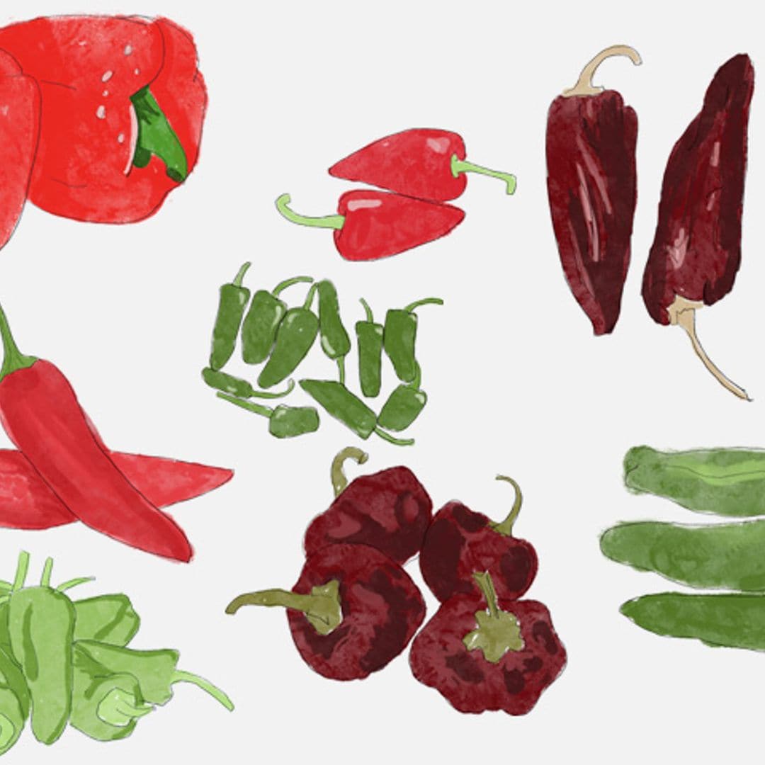 ¿Conoces las variedades de pimiento más populares? Te las mostramos todas