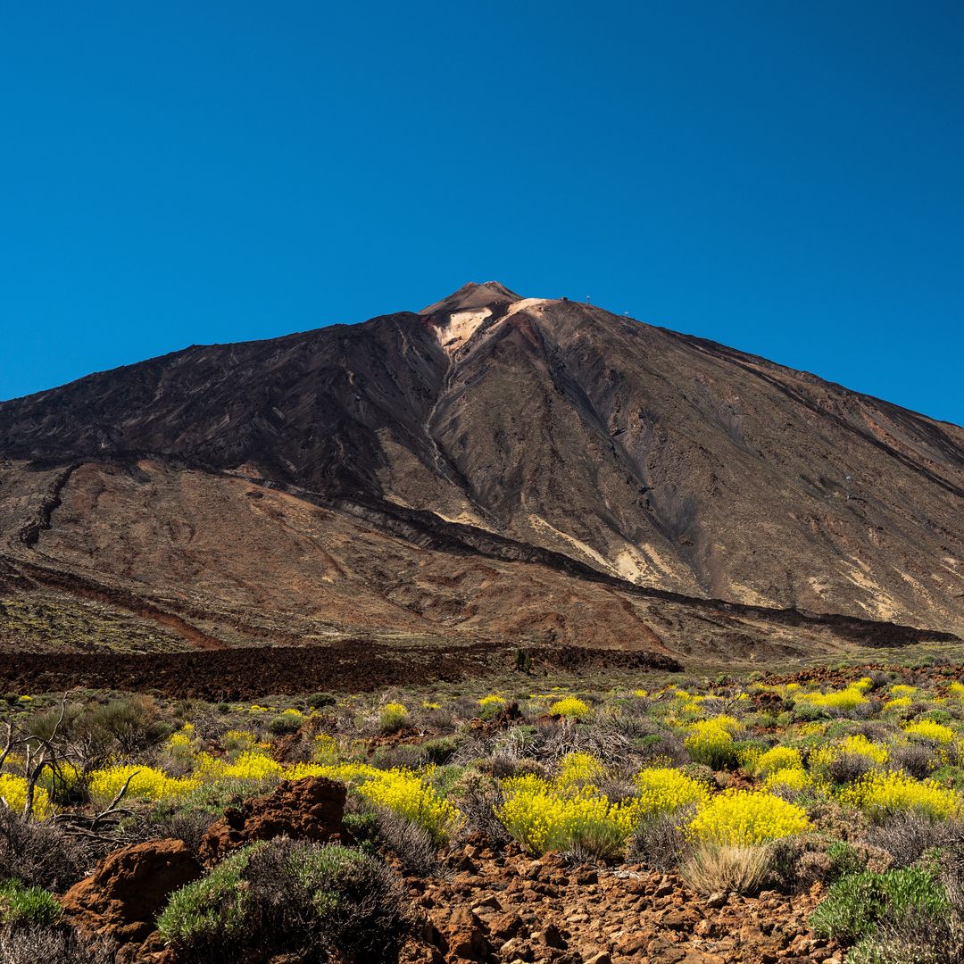 El Teide registra 900 temblores en siete días: qué dicen los expertos sobre el riesgo de erupción